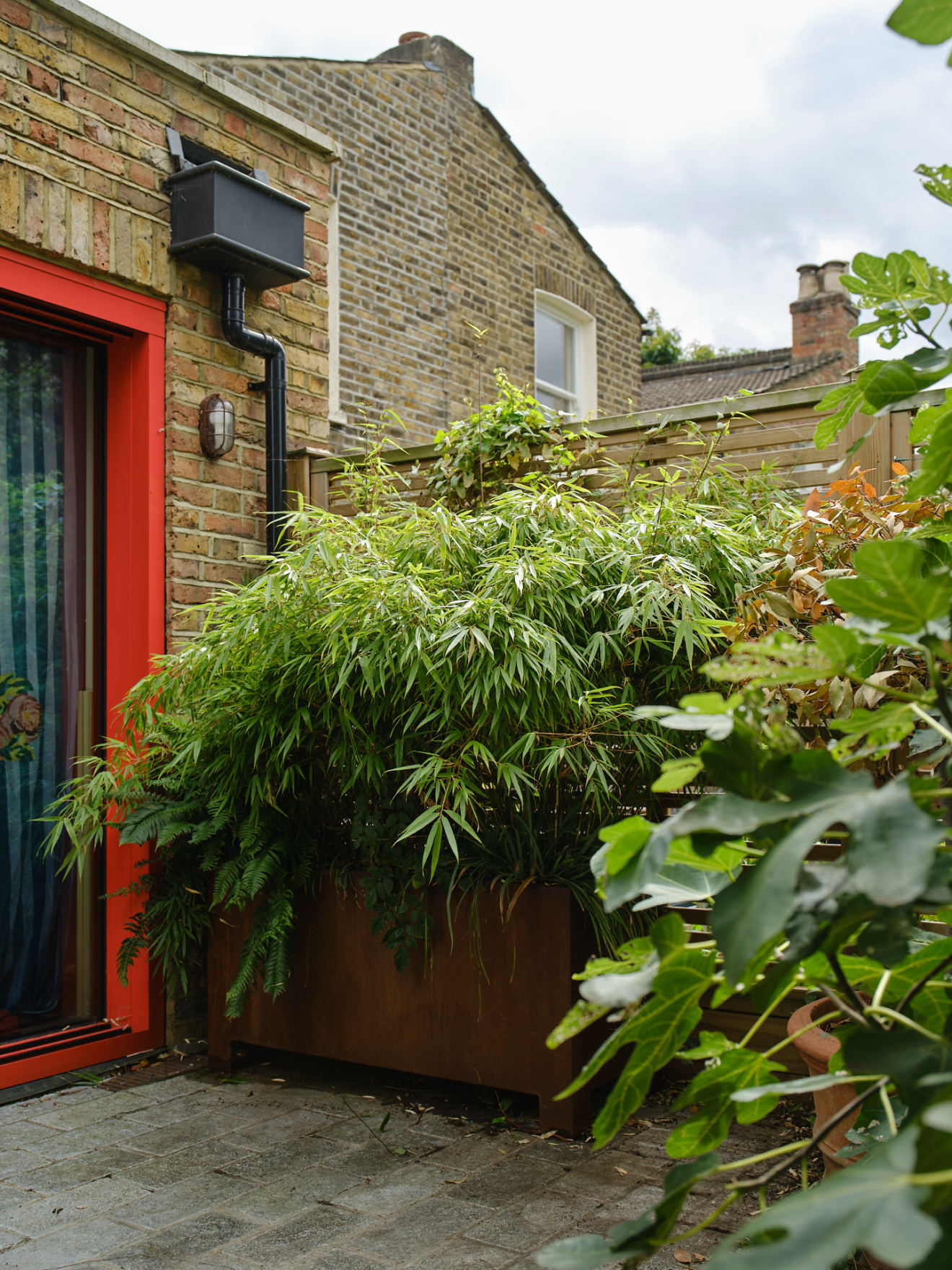 A Corten steel rainwater planter fed by a downpipe, planted with bamboo beside a red door